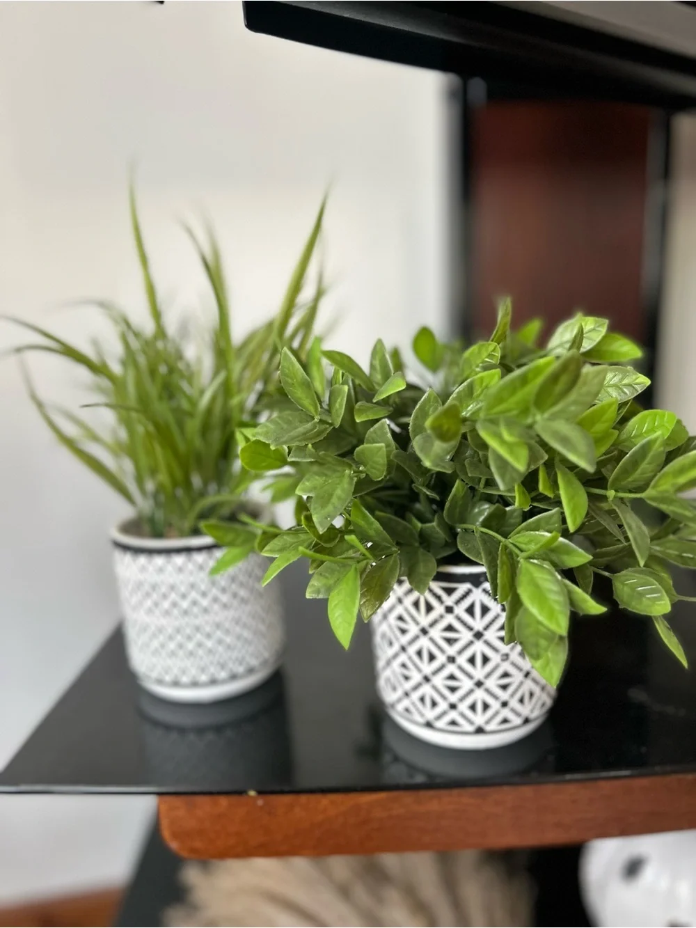 Black and White Patterned Ceramic faux plants  - Set of 2